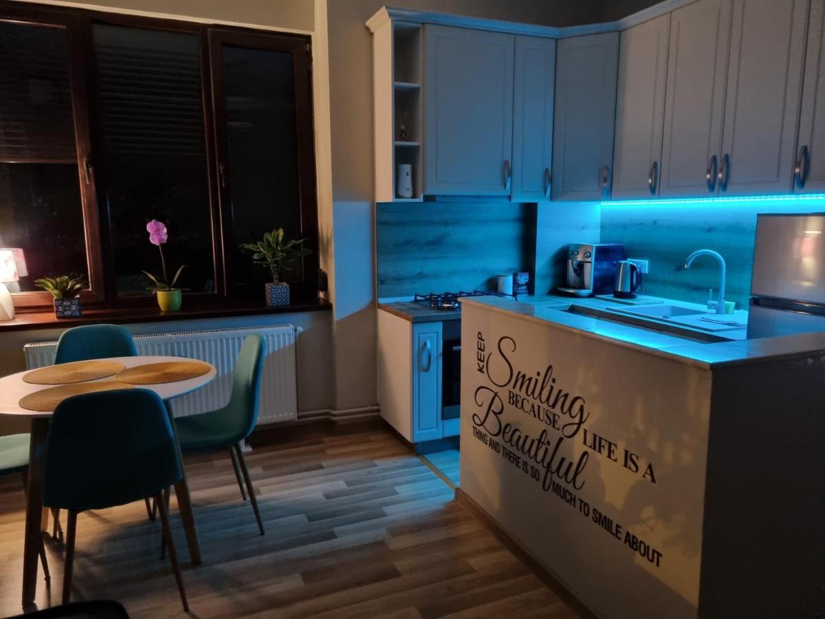 City Inn Premium Apartment Timisoara Luaran gambar